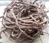 Videira de Árvore de Rattan Videira Seca sobre o Rio Videira da Montanha Velha Videira de Árvore Velha Videira em Forma de Videira Videira Decorativa Tubo de Habitat para Animais de Estimação Videira