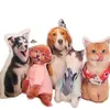 Almohada de Gato Feo Personalizable con Impresión de Foto, Almohada Anime de Mascota con Forma Personalizada, Almohada Suave de Regalo al Por Mayor
