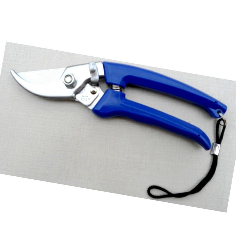 1171680353m6cb0811a-39a9-4293-