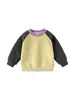 Sudadera Exterior para Niños con Bloques de Color, Top Sencillo, Versátil para Primavera, Nuevo Estilo en Ropa Infantil, Chaqueta para Niños Pequeños, Venta al por Mayor de Primavera