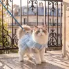 Roupas para Gatos Primavera e Verão Vestido de Renda Fina com Fixador para Guia para Animais de Estimação Bipedes da Raça Teddy e Ragdoll Roupas para Cachorros
