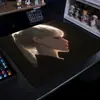 Mouse Pad para E-Sports, Amortecimento Espessado, Controle Preciso, Mesmo Estilo dos Jogadores Profissionais, Lote Econômico, Compatível com Múltiplos Jogos