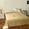 Producto Individual de Cama Lenzing Tencel Austriaco Verano Seda Seda de Hielo Doble Color Puro Cama Sábanas de Cama Funda Nórdica Funda de Almohada Cama Sábanas de Cama