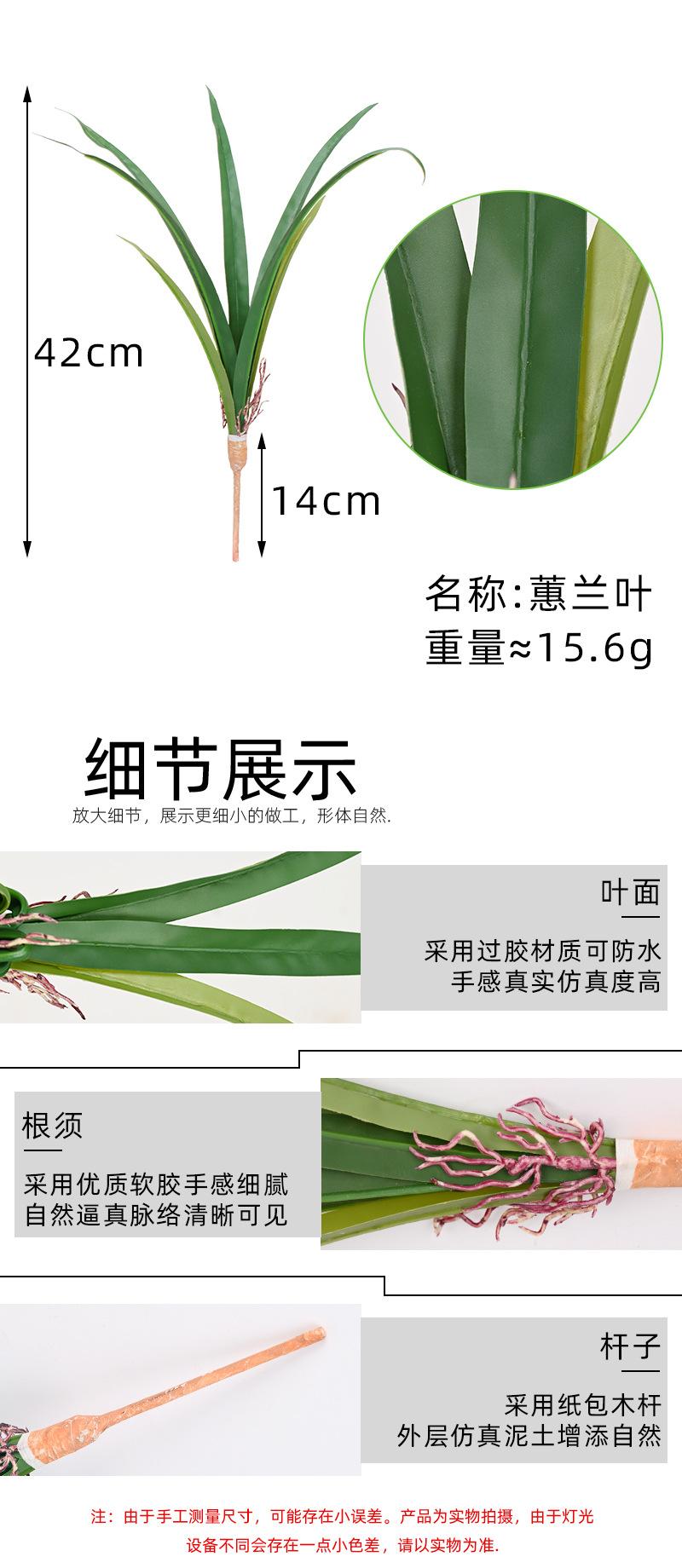 详情页_03.jpg
