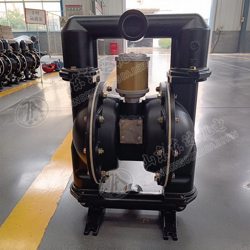 气动隔膜泵 (14).jpg