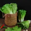 Hojas de Lechuga de Simulación Verdura Falsa Modelo de Frutas y Verduras Decoración Accesorios Adornos de Lechuga Hojas Grandes de Frutas y Verduras