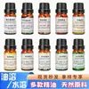 Planta aceite esencial unilateral aceite base masaje corporal aromaterapia aceite esencial nutritivo para la piel líquido de stock materias primas cosméticas fabricantes suministro directo