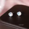 Pendientes de Botón Imitación Piedra de Luna Frescos y Elegantes para Mujer Plata Pura S999 Temperamento Super Hada Versátiles Pendientes de Gama Alta Venta al por Mayor