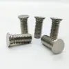 Procesamiento de Forjado en Frío Tornillos Remache Fhs-M3M4M5M6M8-L con Cabeza Plana Redonda Hechos de Acero Inoxidable 304 Fábrica