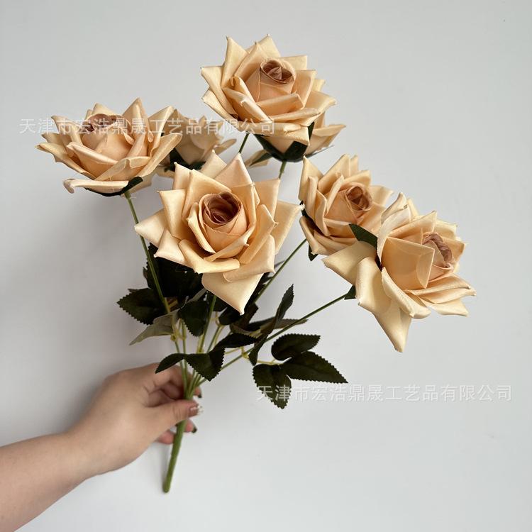 微信图片_202303081757426_副本