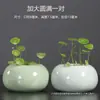 Maceta Pequeña Hidropónica de Cerámica con Esmalte Craquelado, Maceta para Flor de Centella Asiática, Contenedor de Estilo Fresco, Maceta de Escritorio, Venta al por Mayor de Fábrica de Alta Gama