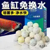Material Filtrante para Acuario Casa de Bacterias Piedra Filtrante de Purificación de Agua Cuarzo Hueco Nitrificante Metabo