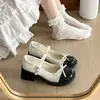 Zapatos Mary Jane de Bloque de Color Chic Francés de Corte Bajo para Mujer 2026 Nuevo Estilo Otoño con Faldas Tacón Grueso Suela Gruesa Zapatos Pequeños de Cuero