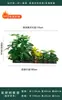 Flores Artificiais Plantas Verdes Conjunto de Divisória Decorativa Flores de Plástico e Seda Decoração de Paisagismo Arranjo de Paisagem Exibição de Janela Interna