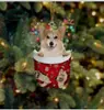 Navidad Transfronteriza Lindos Calcetines de Navidad Perro Árbol de Navidad Decoración Colgante Regalo Creativo Festivo