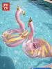 ExclusivotransfronterizoAméricaLatina/Flamencosnadando