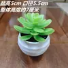 Plantas Suculentas de Simulación Flores Artificiales Suministro Directo Mesa de Exhibición Decoración Adornos Pequeños Suculentas Falsas Bonsái Plantas Verdes Plantas Pequeñas en Maceta