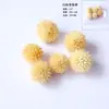 Flores Secas e Frutas Secas Material DIY Pinhas de Algodão Canela Limão Adereços de Tiro Jardim de Infância Pacote de Material Artesanal DIY