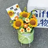 Nuevo Bouquet de Frutas y Girasoles Tejidos de Lana Tipo Cubo de Abrazo Decoraciones Creativas para el Hogar para Novias y Mejores Amigas