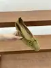 Primer Encuentro Temporada Aumento Huevo Rodillo Agitar Zapatos Boca Baja Suela Suave Versátil para Viajes Cotidianos Hada Coreana Lazo Zapatos de Tacón Alto Individuales