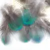 Venda Direta de Fábrica de Quase 100 Tipos de Acessórios Naturais de Penas Pequenas para Joias DIY, Acessórios de Cabeça, Broches, Chapéus, Materiais de Decoração para Artesanato