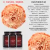 Materiais de Embalagem para Buquês Jemi, Suprimentos para Floristas, Embalagem Floral, Spray Corante à Base de Água, Tinta Spray, Spray para Flores