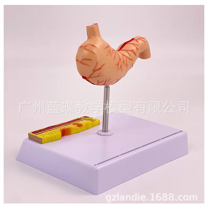 详情_19