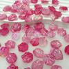 Pétalas de Camélia em Gradiente de Duas Cores Concha Ma Beibei Flor de Concha Flor de Peônia de Jade Fragrante Peônia Tianzhu Flor de Peônia