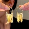 Coleção de franjas! Celebridade Cibernética Luxo Leve Brincos Longos com Franjas em Cascata Elegantes para Socialites Rosto Redondo Brincos Emagrecedores Brincos