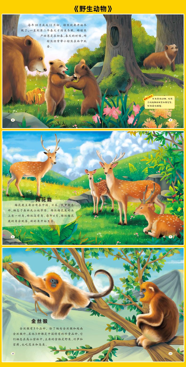 动物科学绘本详情页_26.jpg