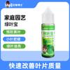 Dr. Flor Estrella y Hierba Hoja Verde Planta Tesoro Nutrición Universal Clorofila Líquida Flor Planta Verde Fertilizante Foliar