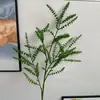 2026 Nuevo Modelo Plantas Verdes Artificiales Hierba de Espárrago Asparagus Asparaginea Decoración de Boda Flores Falsas Verdes Paisajismo Fotografía Plantas Verdes Estilo Bosque
