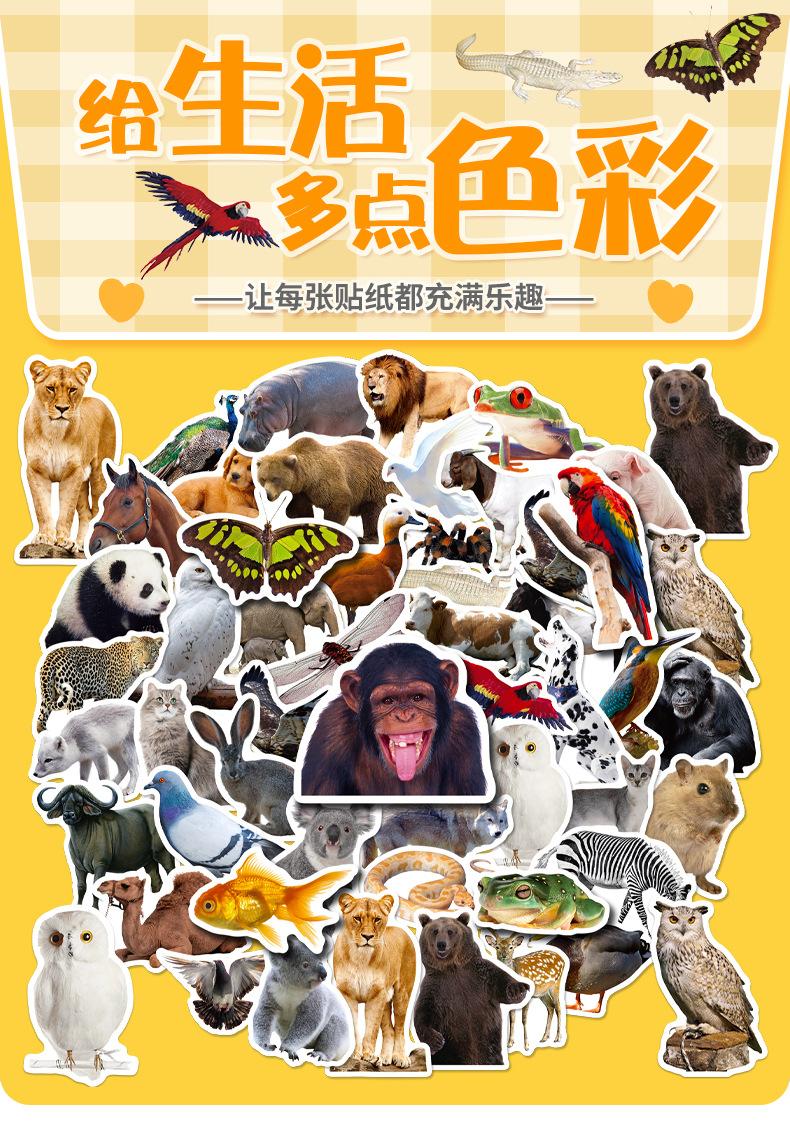 详情页_01.jpg