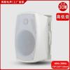 Venta Directa de Fábrica Montado en Pared Audio Direccional Bluetooth Presión Constante y Resistencia Fija Doble Propósito Centro Comercial Supermercado Escuela Sala de Conferencias Altavoz