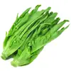 Semillas de Verduras, Colza de Primavera, Verduras Fáciles de Cultivar en el Balcón Familiar, Cilantro, Espinaca, Semillas de Rábano, Semillas de Verduras de Cuatro Estaciones