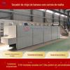 Máquina de secagem de fatia de banana correia líquida equipamento de secagem de chips de banana equipamento automático de secagem de frutas