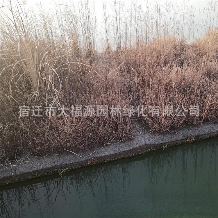 微信图片_20200601224648