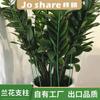 Zhixiao Árbol del Dinero Orquídea Pilar Huilan Verduras Melón y Frutas Plantas Enredadera Soporte Fijo Varilla Pilar de Flores