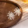 Exquisitos Pendientes de Fuegos Artificiales Brillantes con un Toque de Lujo Ligero, Estilo Minimalista, Moda Versátil, Accesorios para Orejas de Diseño de Nicho