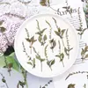 Marcador de Libro de Espécimen de Planta Ban Bian Lian Marcador de Libro de Flores Prensadas Materiales para Manualidades Herramientas para Flores Secas Para Estudiantes Espécimenes de Flores Secas Hechos por Uno Mismo