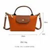 Bolso cruzado ligero de un solo hombro de moda transfronterizo diseño de nicho bolso de mano de tela de nylon elegante bolso cuadrado pequeño bolso tipo albóndiga para mujer
