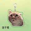 Regalo Divertido para Amigos, Pequeño Teatro Temático de Gatos Accesorios Peculiares, Lindo Colgante Decorativo de Mem, Llavero de Acrílico