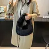 Bolso de Felpa de Terciopelo de Alta Gama para Mujer 2026 Nuevo Moda Otoño/Invierno Bolso de Mano Casual Bolso Tote Peludo Bolso Dumpling