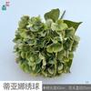 Tiana Hydrangea Bundle Hand-feeling Hydrangea Stage Road Layout Flores Falsas Casamento Arranjar Flores Simulação Flores