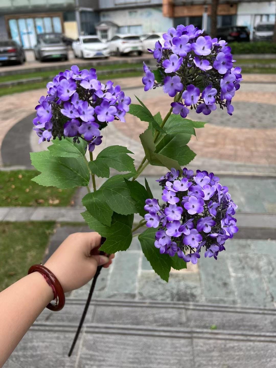 微信图片_20240724141158.jpg