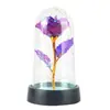 Flor de Rosa Eterna Simulada Grabada con Láser con Cubierta de Acrílico y Lámina de Oro, Regalo de Cumpleaños para Niñas, Regalo de San Valentín en una Caja Colorida