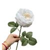 Fabricantes de flores artificiales húmedas para el hogar, comercio exterior, tacto blanco hidratante, decoración de bodas en Austin, flores falsas al por mayor