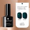 Manicura Cat Eye Glue 2024 Nuevo Set de Pegamento para Esmalte de Uñas Tienda Especial de Nail Art Pegamento de Fototerapia Color Popular de Celebridad de Internet Set Pequeño