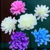 Cabezas de Flores Artificiales, Flores Aromáticas, Accesorios Decorativos Hechos a Mano para Manualidades, Flores Secas Decorativas, Hierba, Crisantemos Pe, Fragancia Creativa Inspirada en la Biología al por Mayor