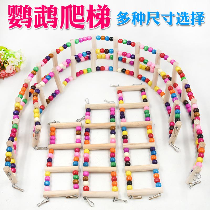 鹦鹉爬梯主图